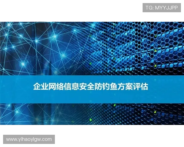 壹号官网地址安全访问指南,避免钓鱼网站保障账号信息安全